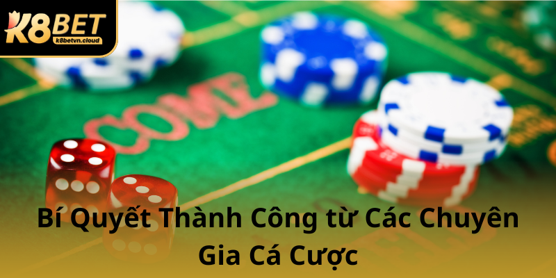 Bi Quyet Thanh Cong Tu Cac Chuyen Gia Ca Cuoc0